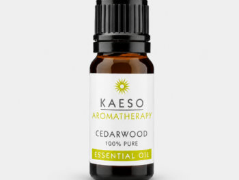 Aceite Esencial Puro de Cedro Kaeso 10 ml